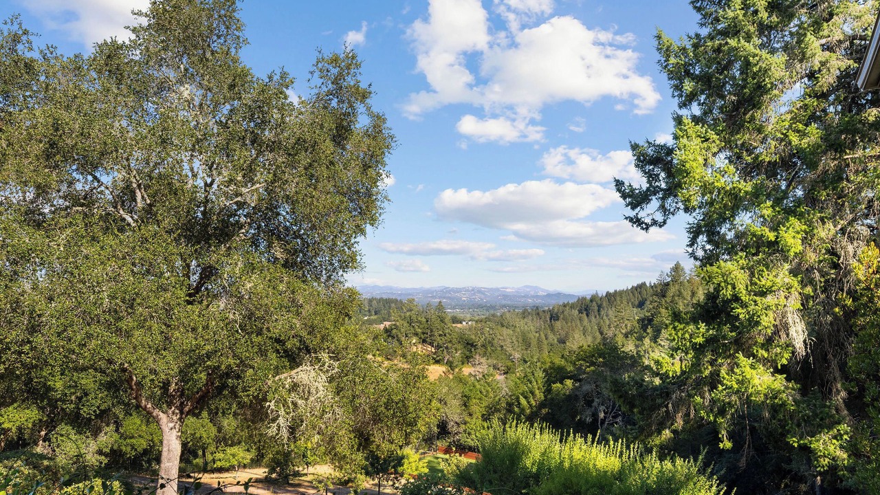 Photo of Others in Healdsburg