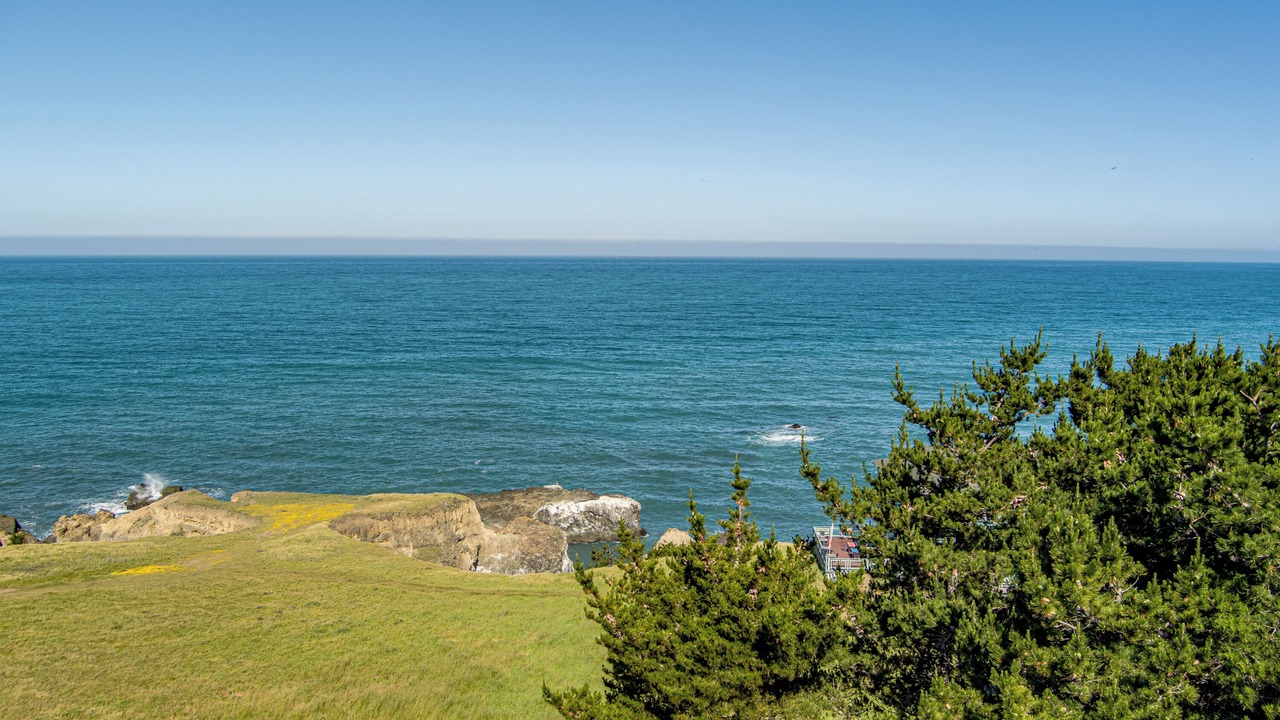 Photo of Others in Shelter Cove