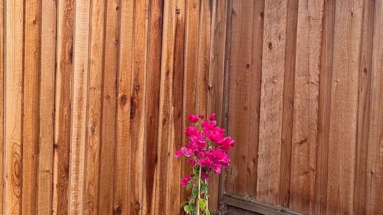 Photo of Outdoor in Tracy