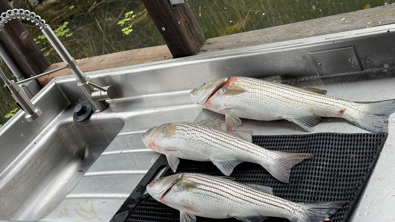 Photo of Others in Bethel Island