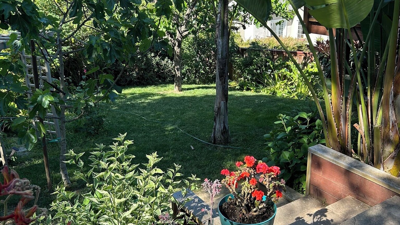 Photo of Outdoor in San Rafael