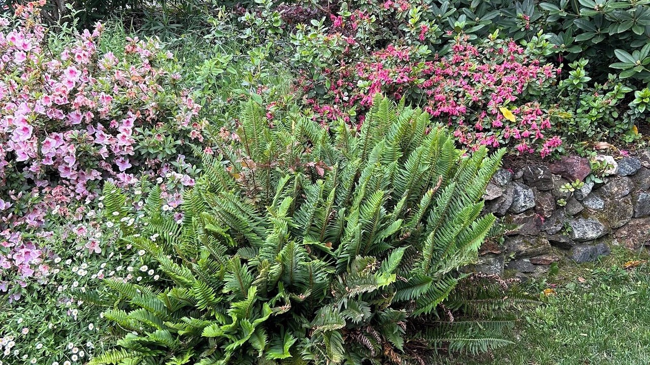 Photo of Outdoor in San Rafael