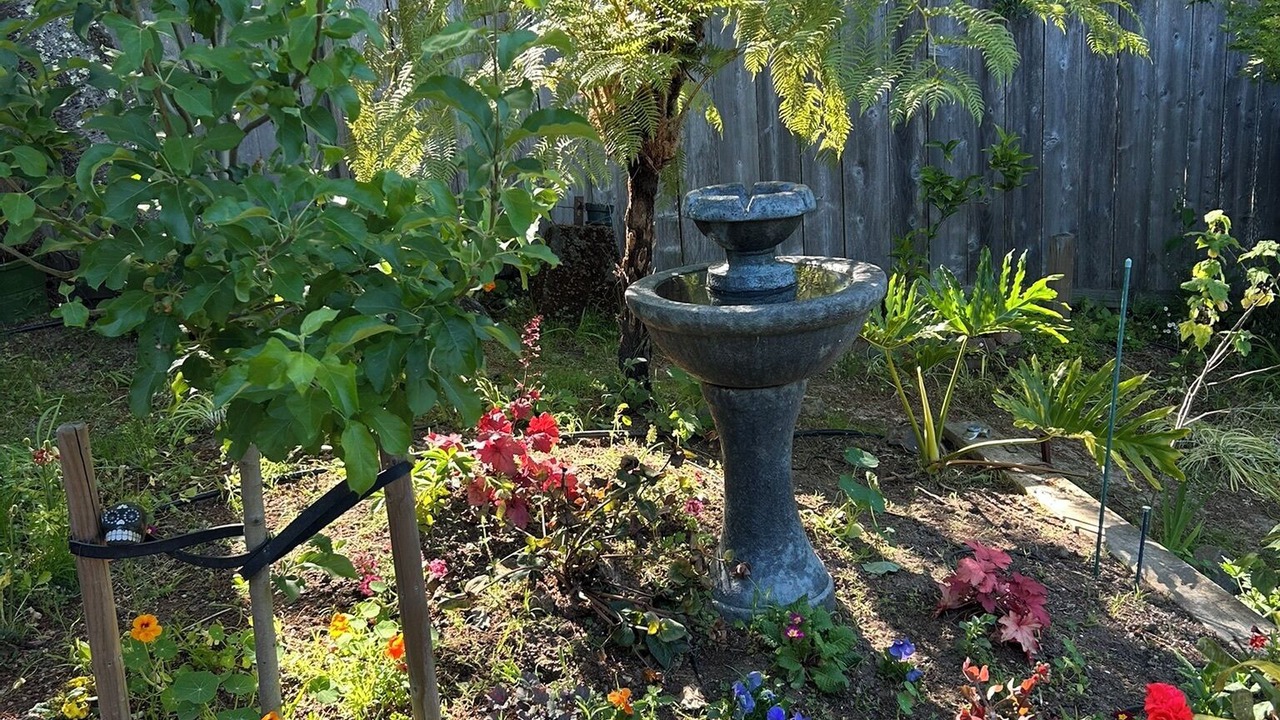 Photo of Outdoor in San Rafael