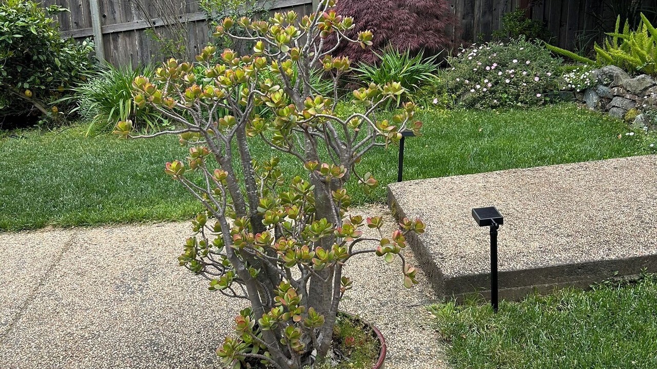 Photo of Outdoor in San Rafael