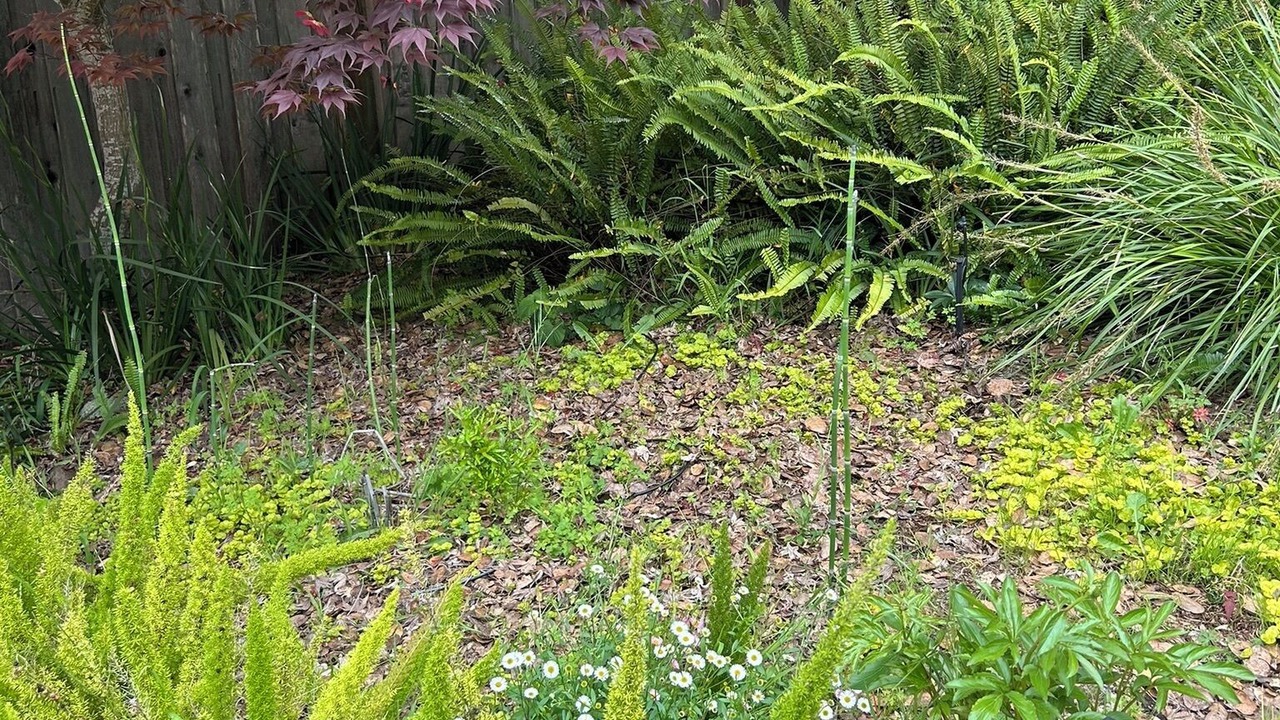 Photo of Outdoor in San Rafael