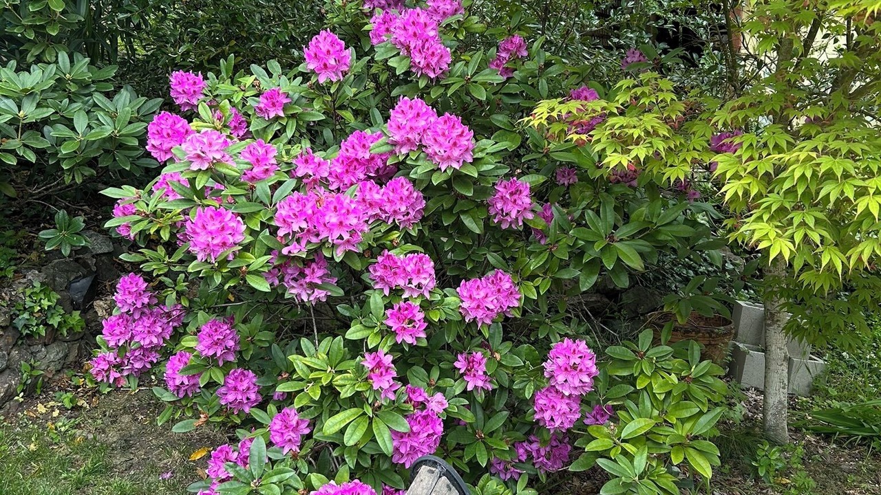 Photo of Outdoor in San Rafael