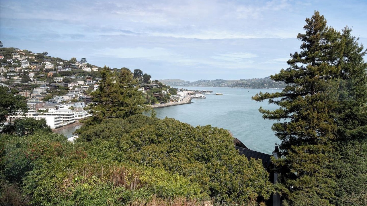 Photo of Others in Sausalito