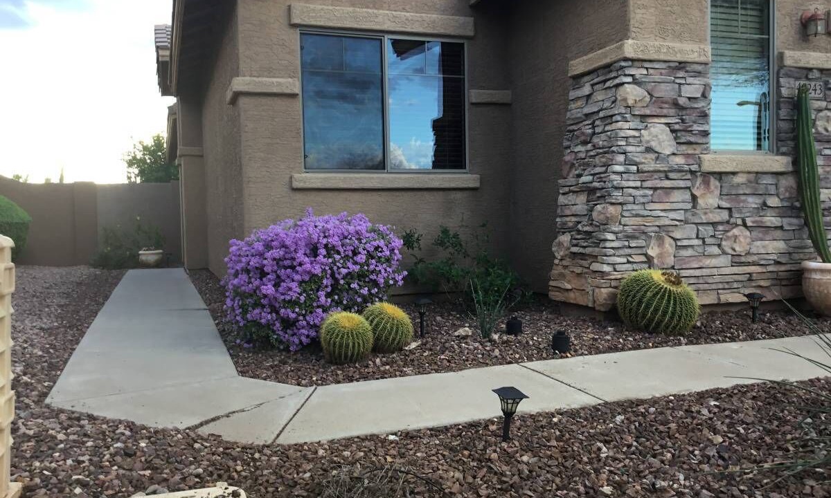 Photo of Outdoor in Anthem