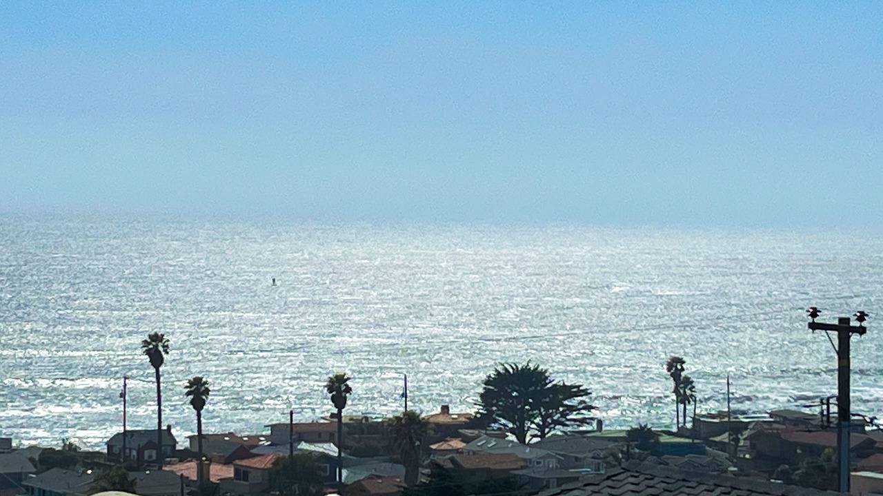Photo of Others in Cayucos