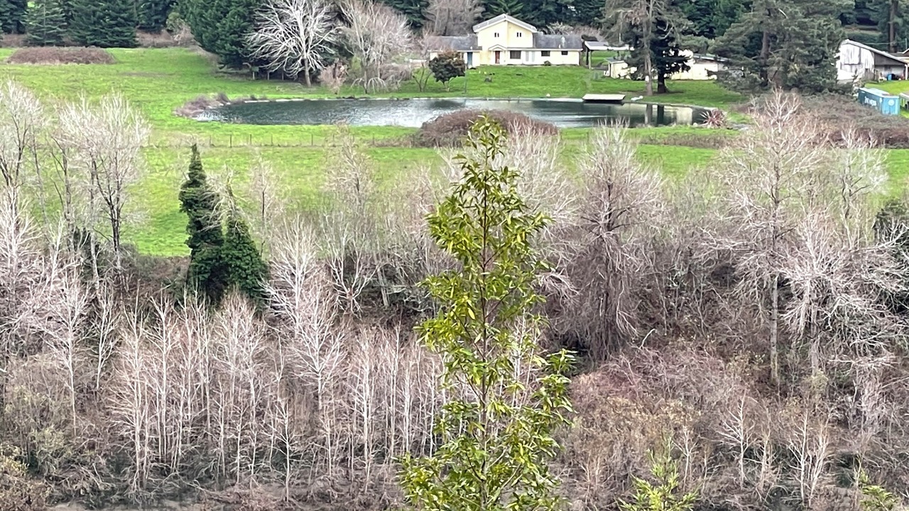 Photo of Others in Scotia