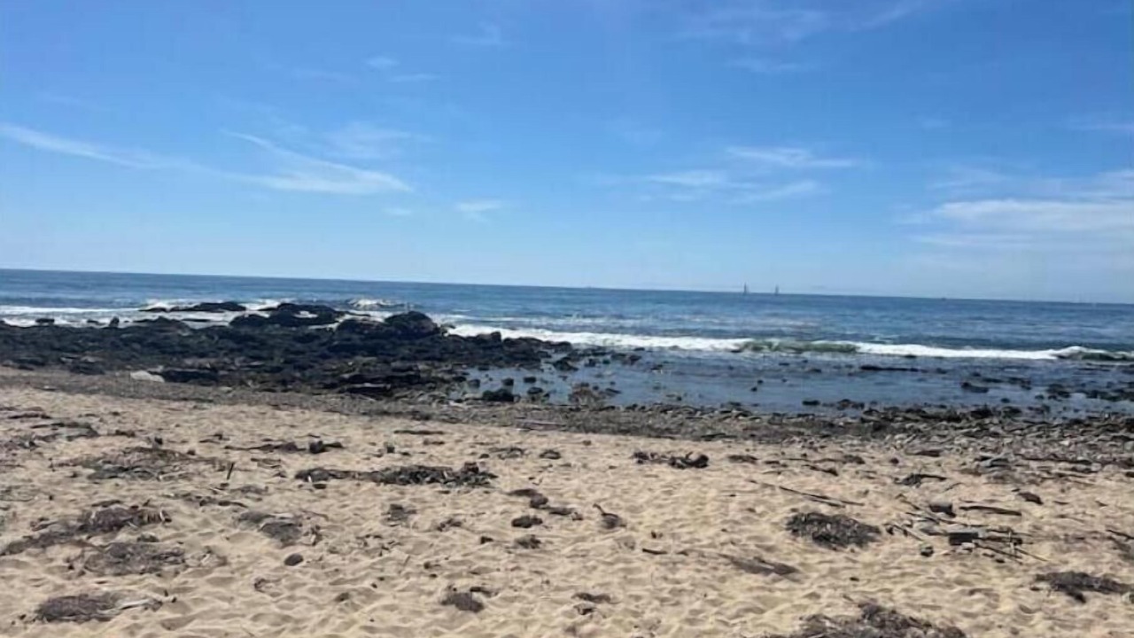 Photo of Others in Corona del Mar
