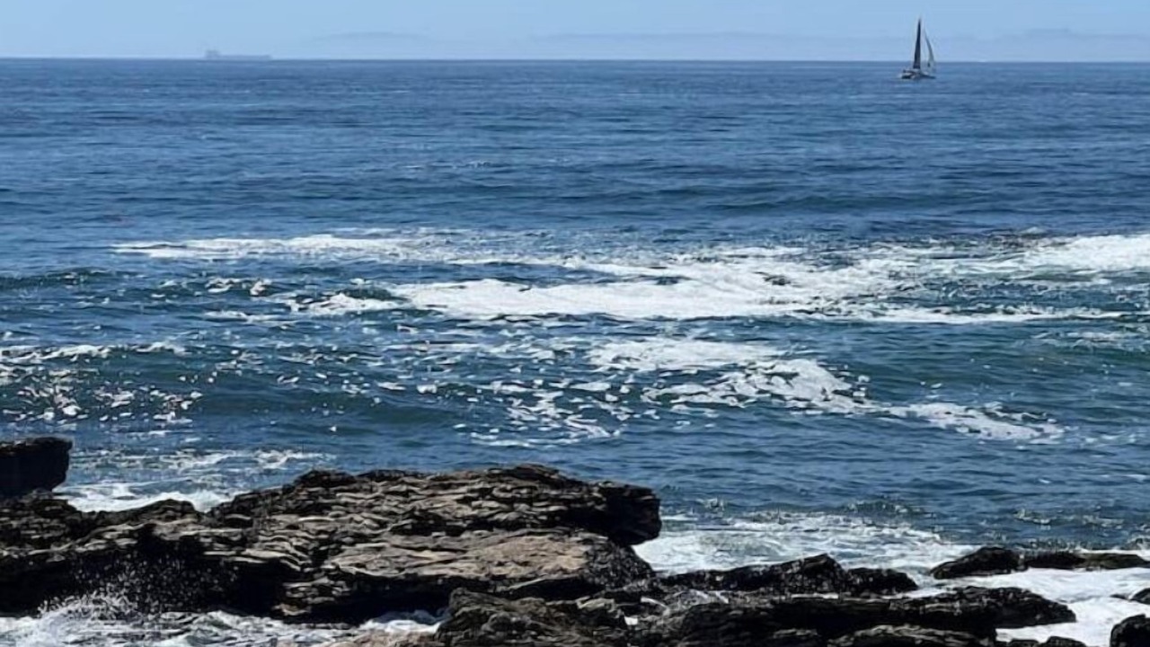 Photo of Others in Corona del Mar