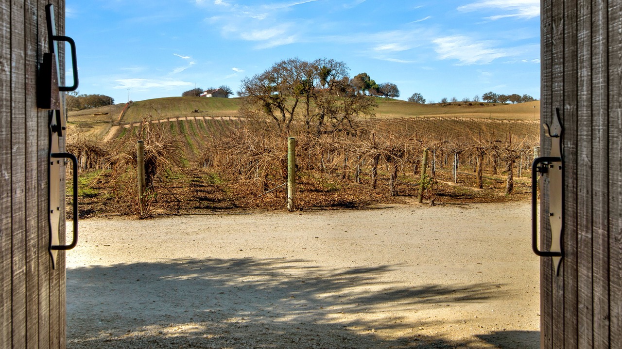 Photo of Others in Paso Robles