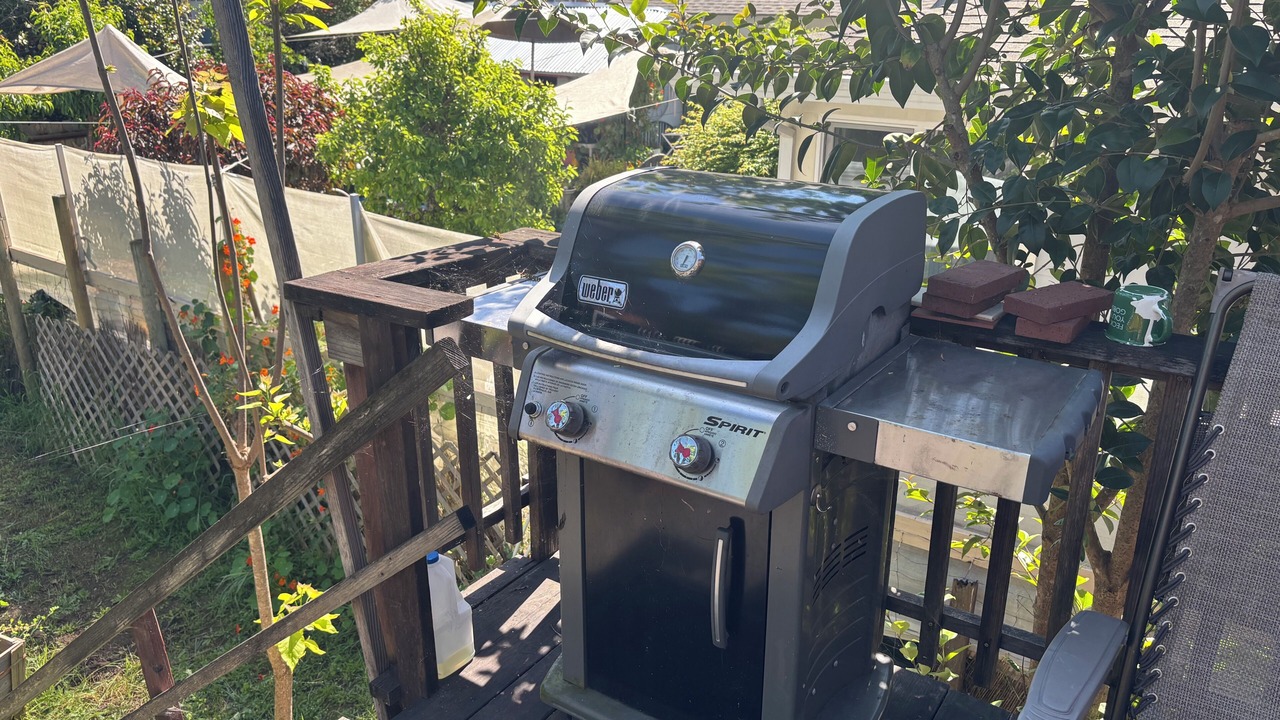Photo of Outdoor in Guerneville