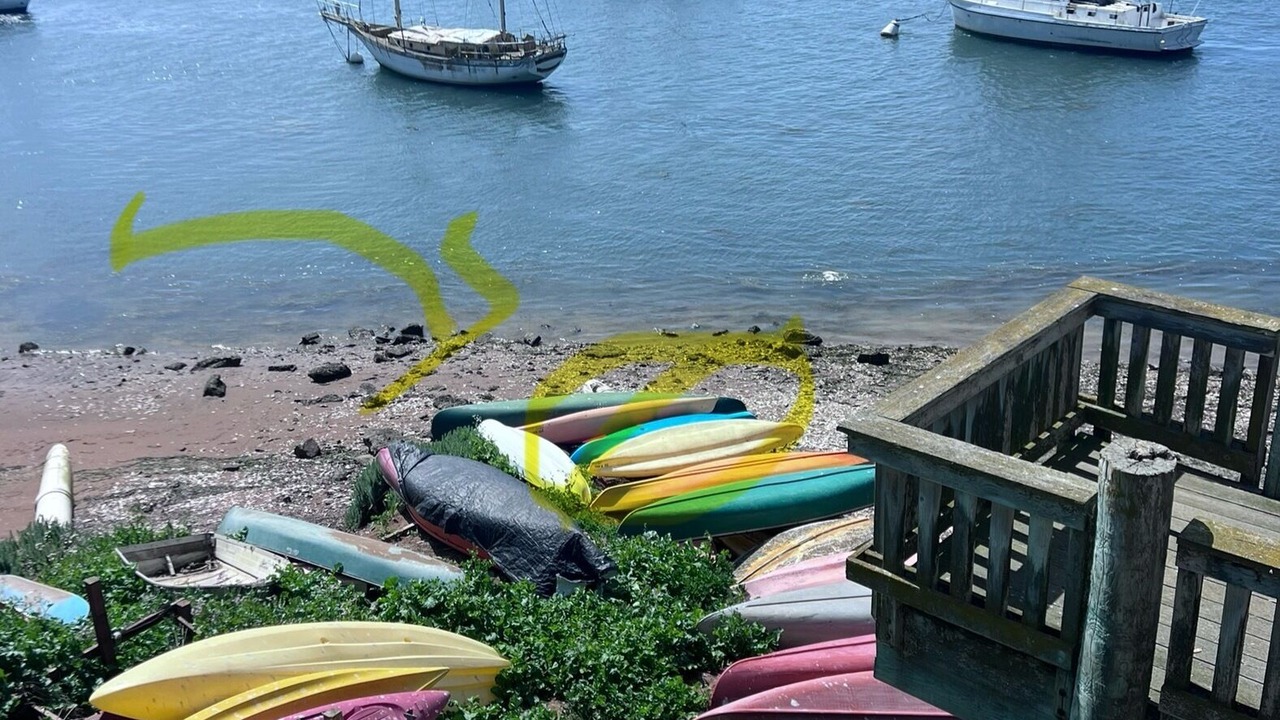 Photo of Others in Morro Bay