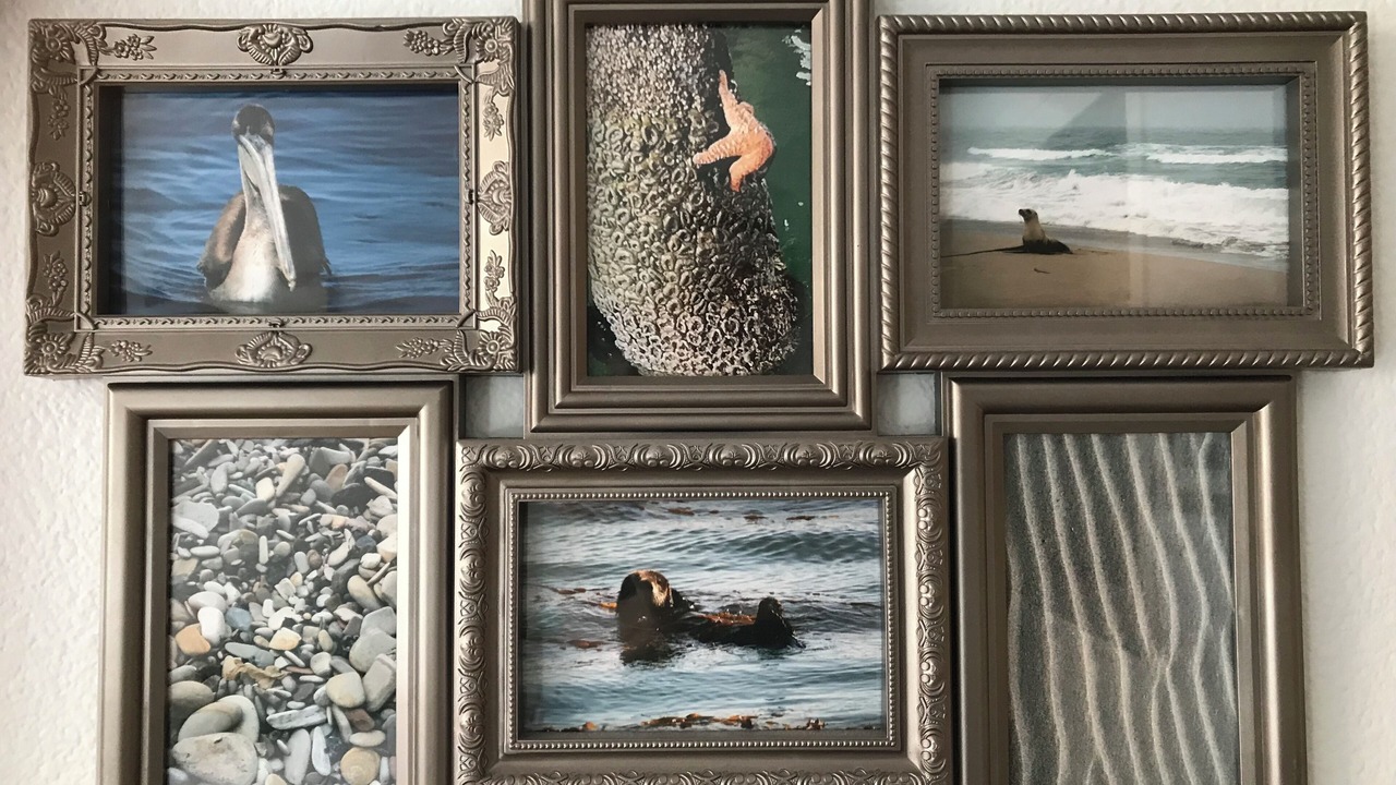 Photo of Others in Morro Bay