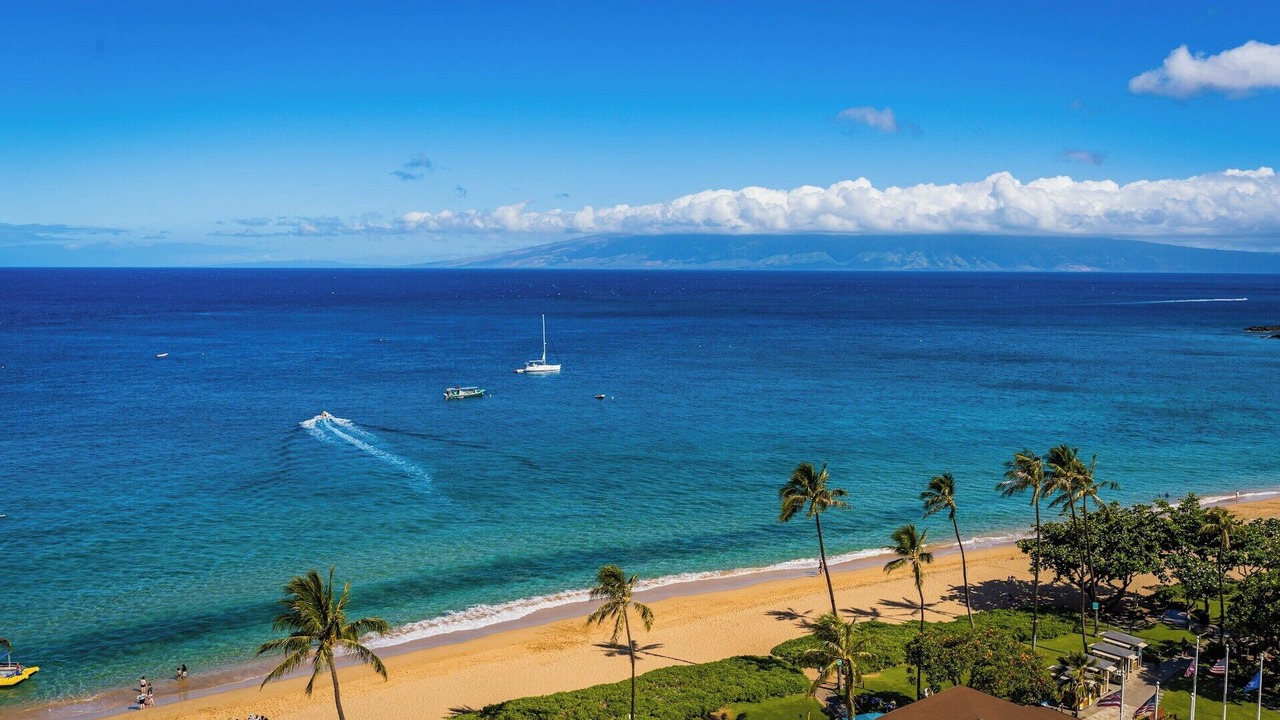 Photo of Others in Newhall