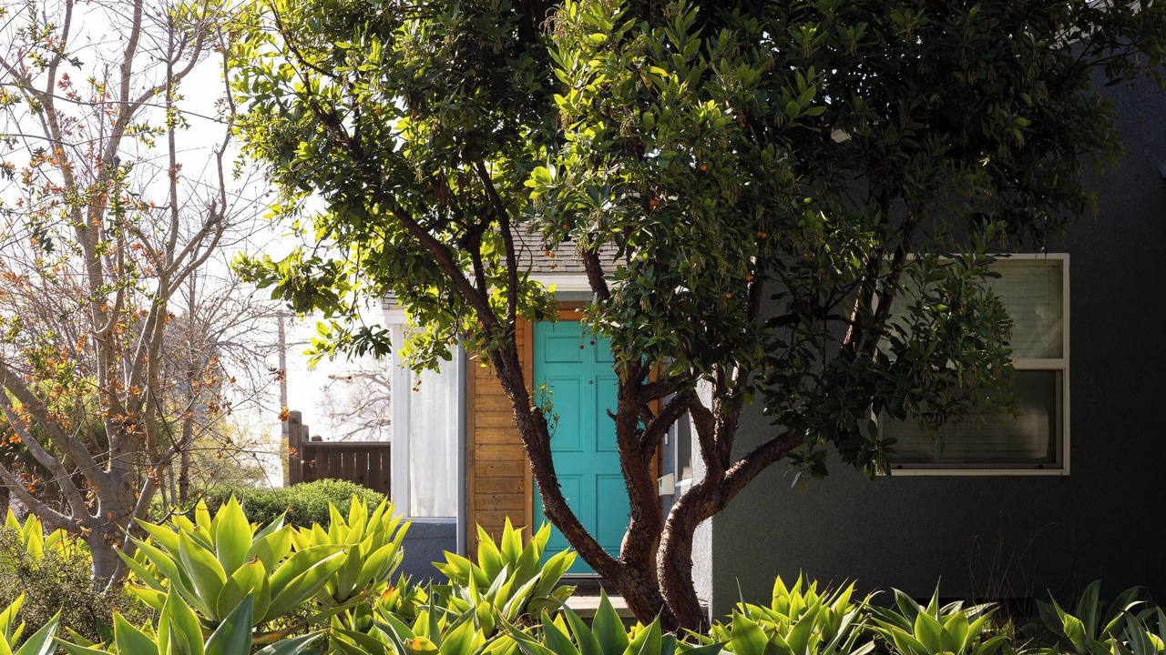 Photo of Outdoor in Hillcrest