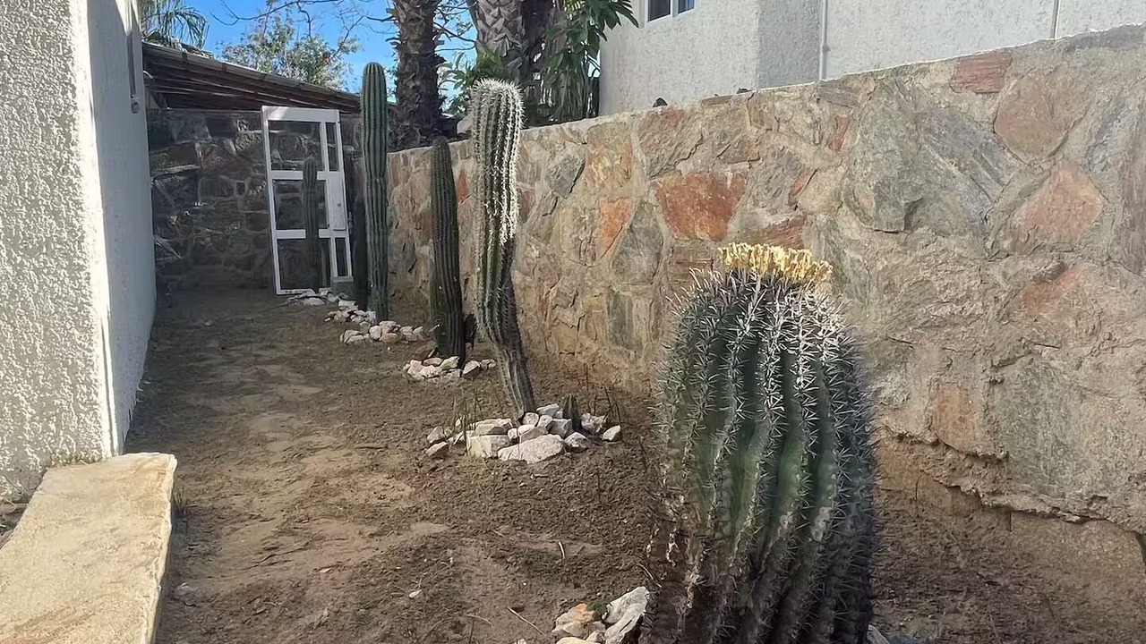 Photo of Outdoor in Todos Santos
