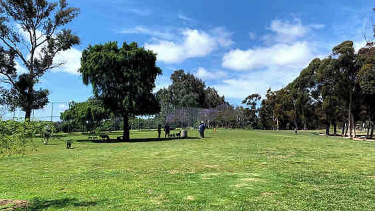 Photo of Others in South Park