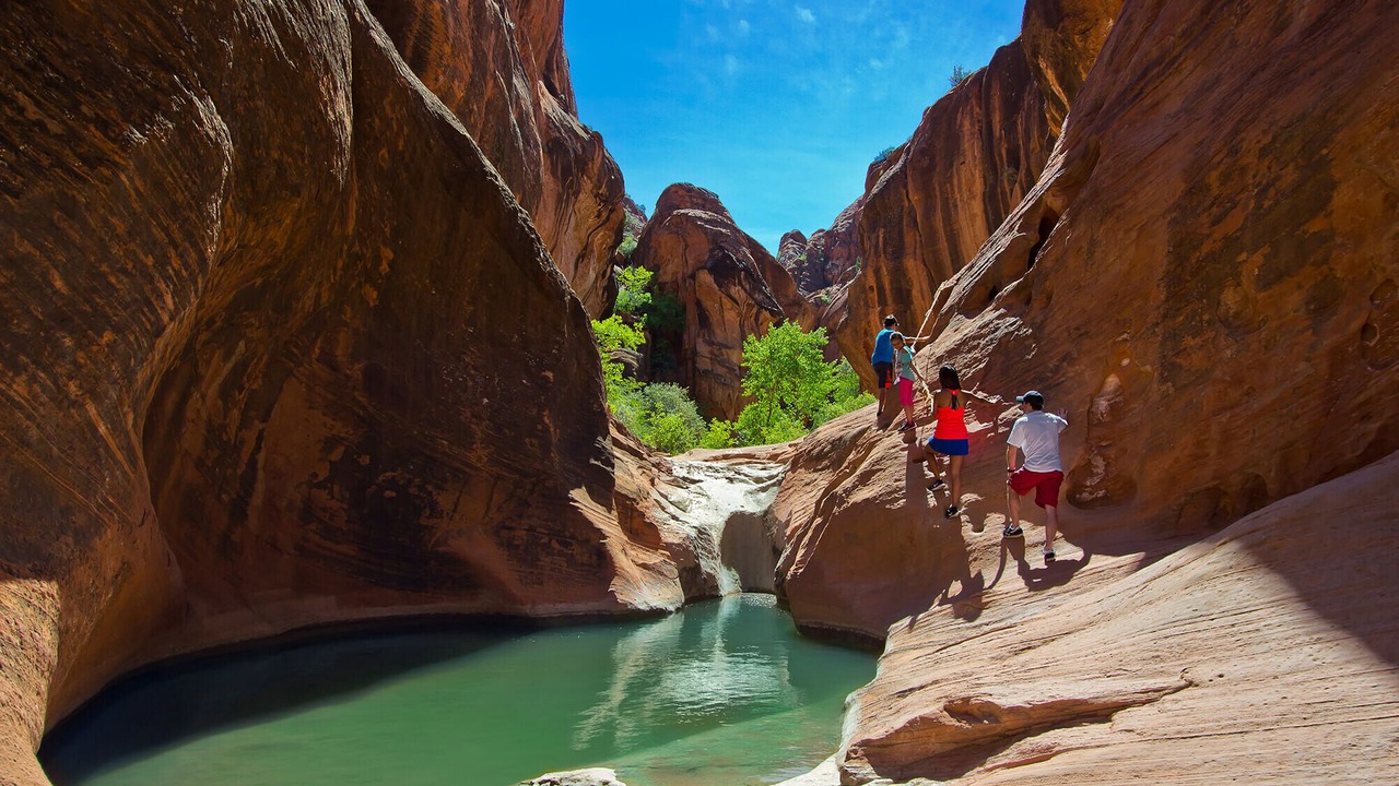 Photo of Others in St. George