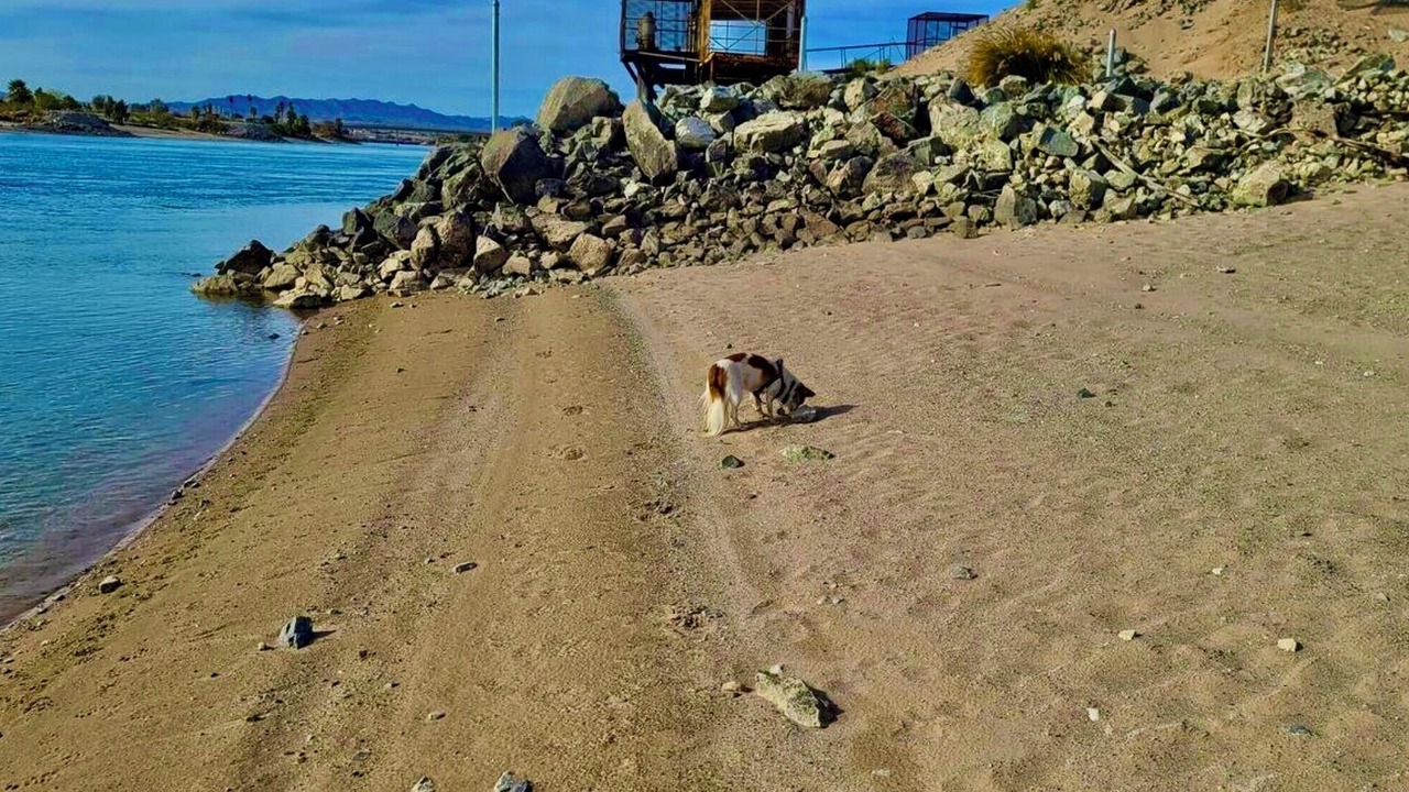 Photo of Others in Mohave Valley