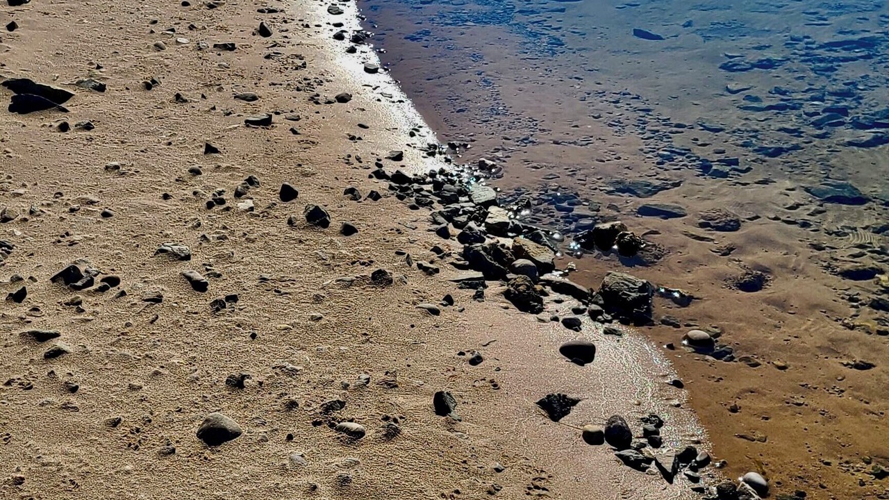 Photo of Others in Mohave Valley