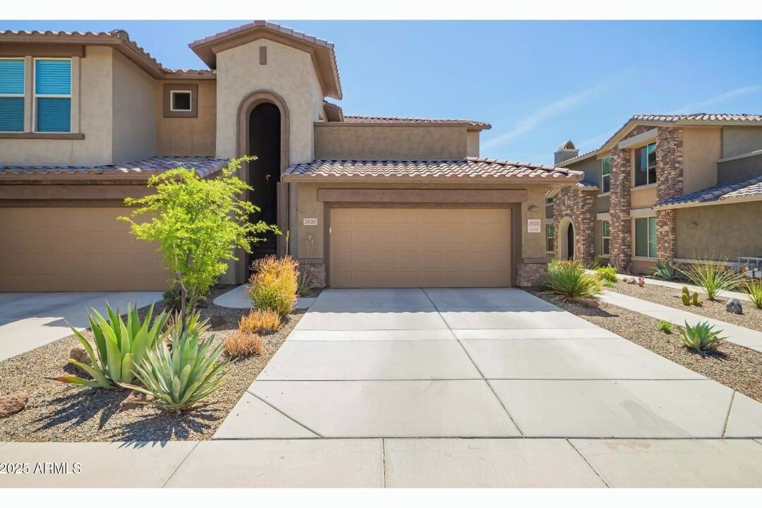 Photo of Others in Sonoran Foothills
