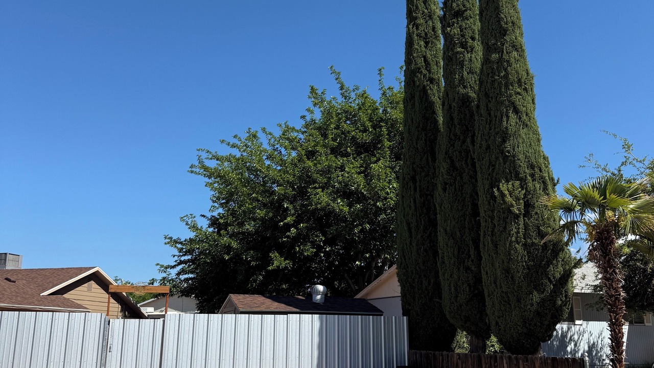 Photo of Outdoor in Green Springs