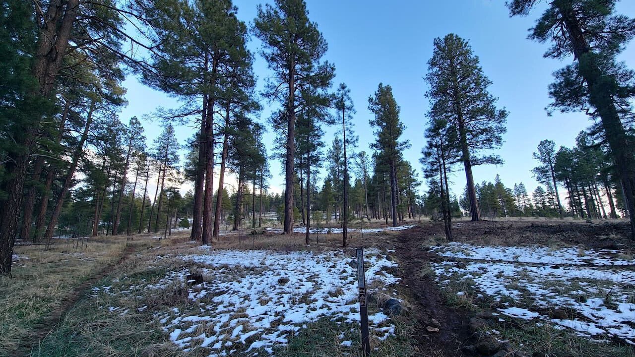Photo of Others in Mountainaire