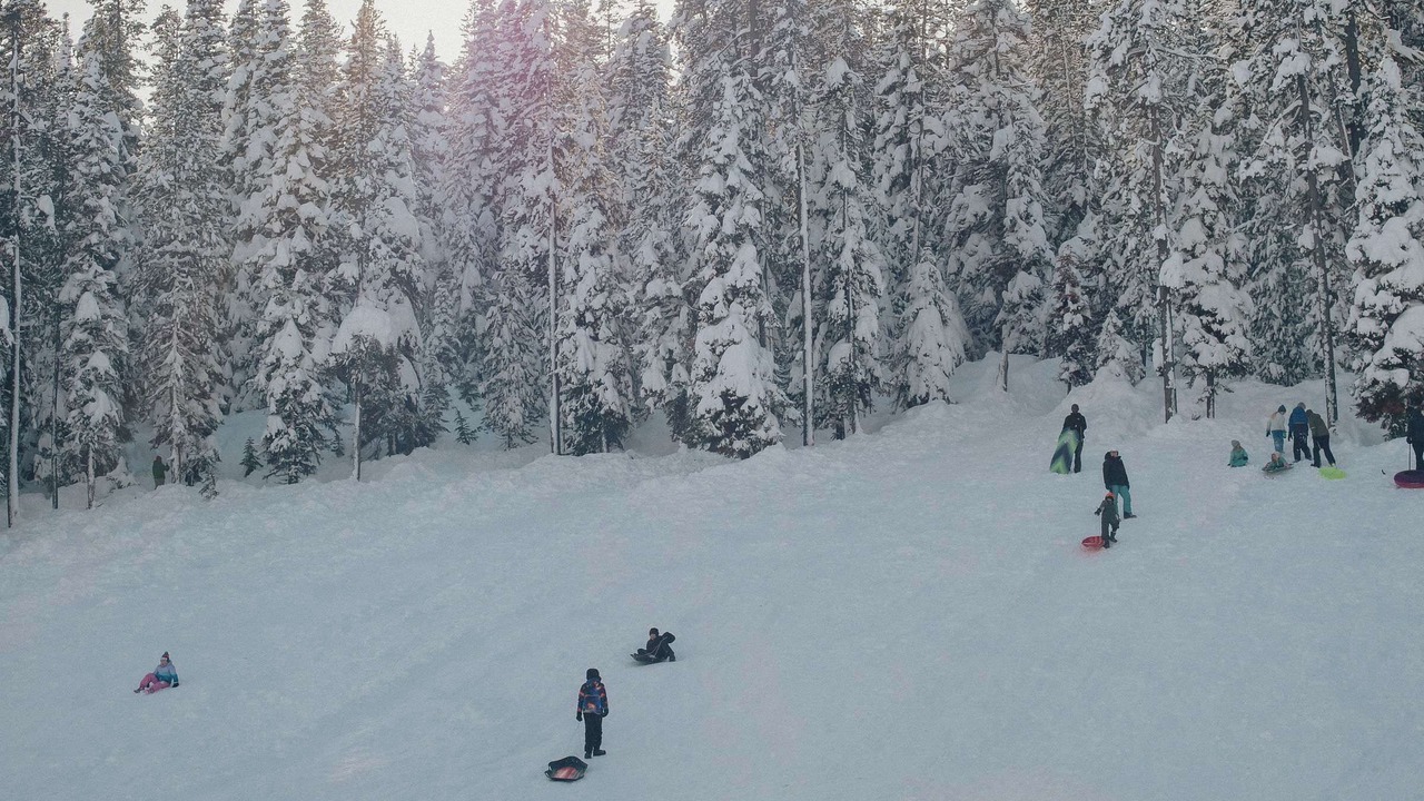 Photo of Others in Deschutes River Woods
