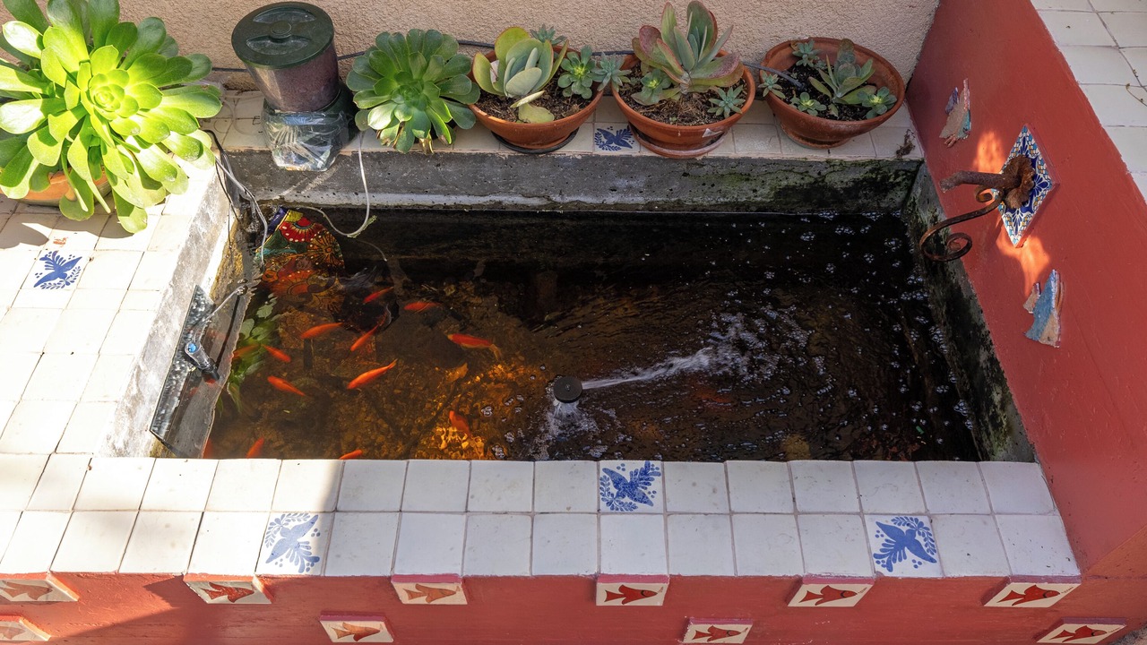 Photo of Others in San Miguel
