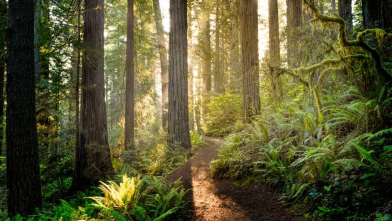 Photo of Others in Aptos