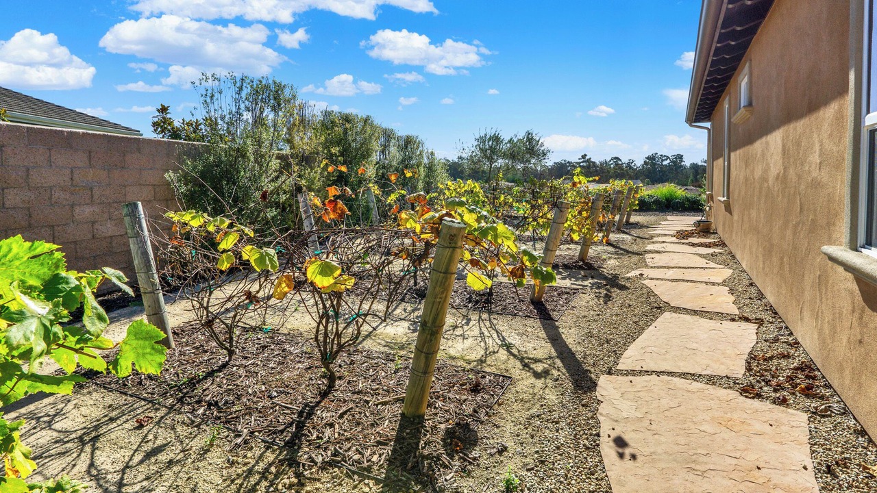 Photo of Outdoor in Nipomo