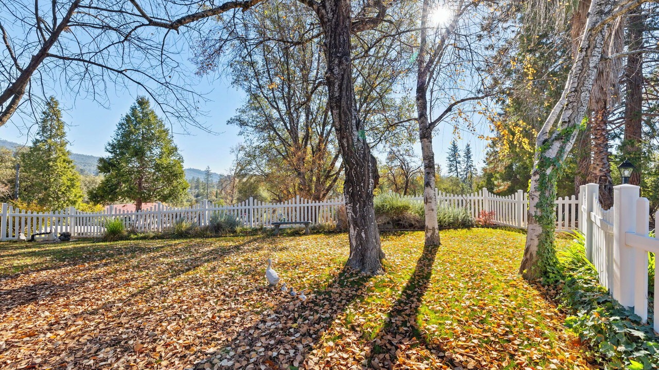 Photo of Outdoor in Sonora