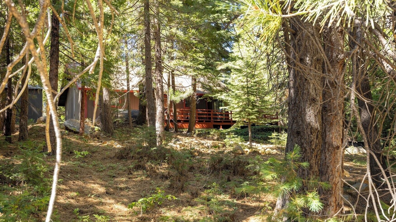 Photo of Others in Alta