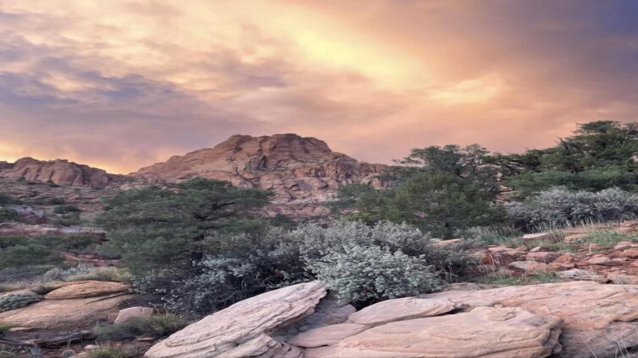 Photo of Others in Hildale