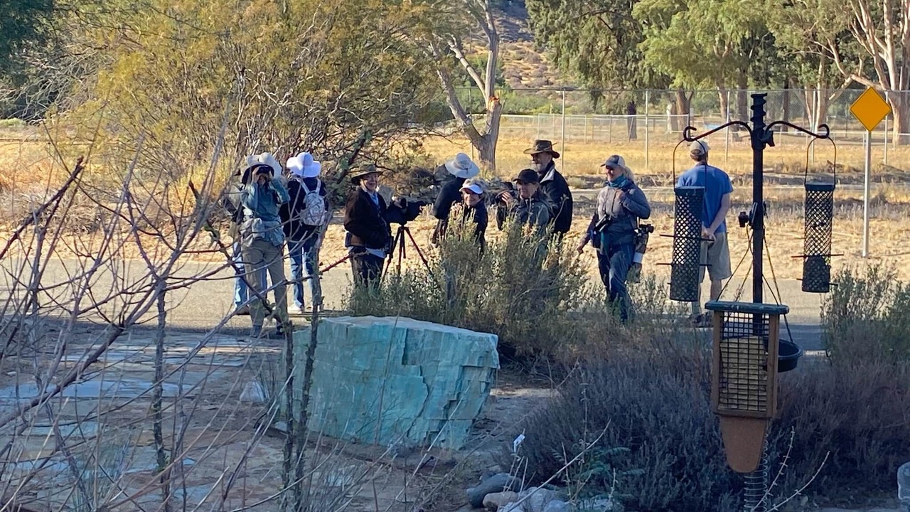 Photo of Others in Morongo Valley