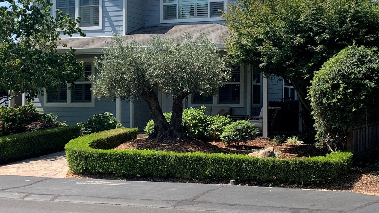 Photo of Outdoor in Yountville