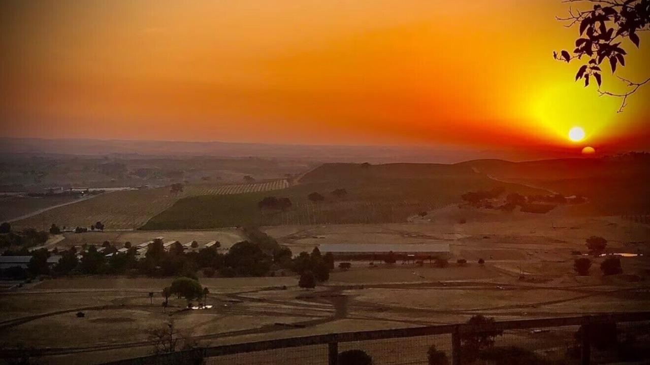 Photo of Others in Paso Robles