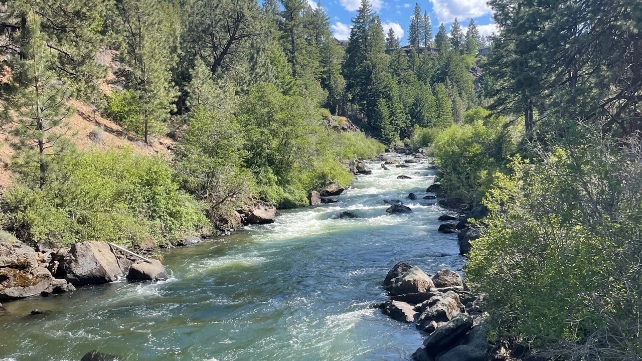 Photo of Others in Century West