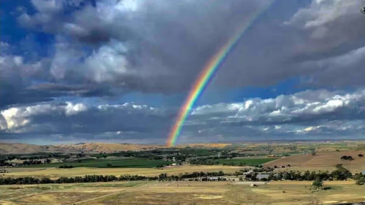 Photo of Others in Paso Robles