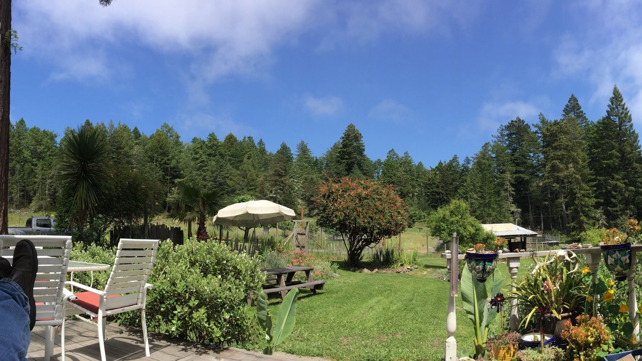 Photo of Outdoor in Cazadero