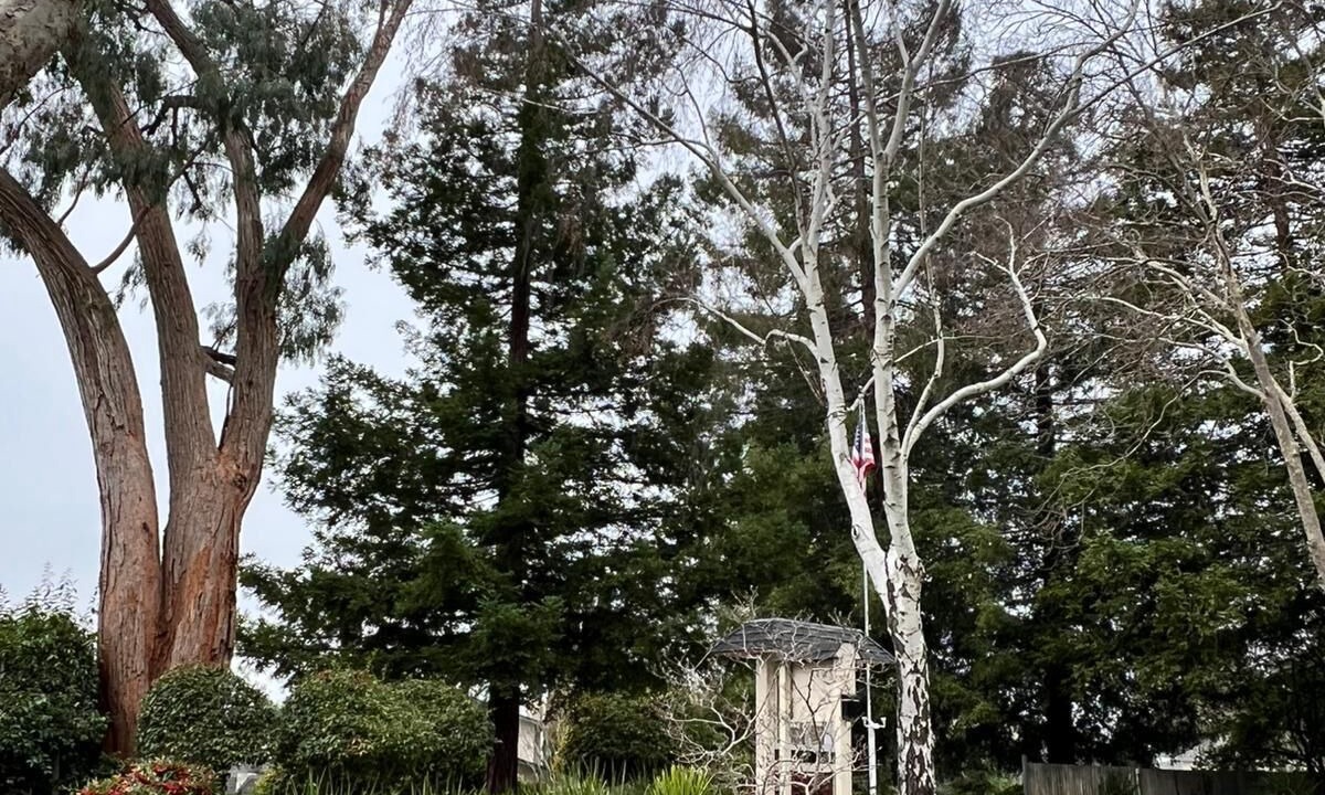 Photo of Outdoor in Benicia