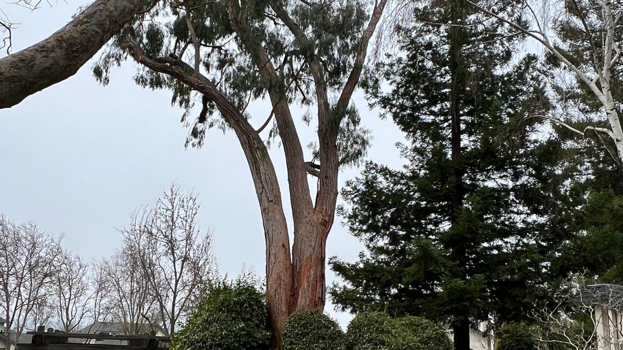 Photo of Outdoor in Benicia