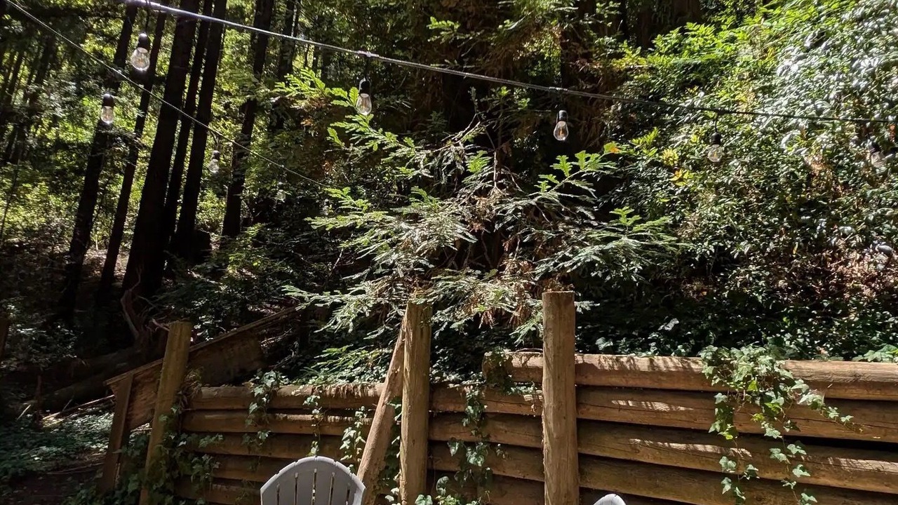 Photo of Outdoor in Rio Nido