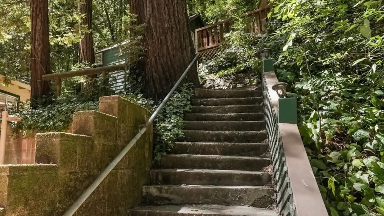 Photo of Outdoor in Rio Nido