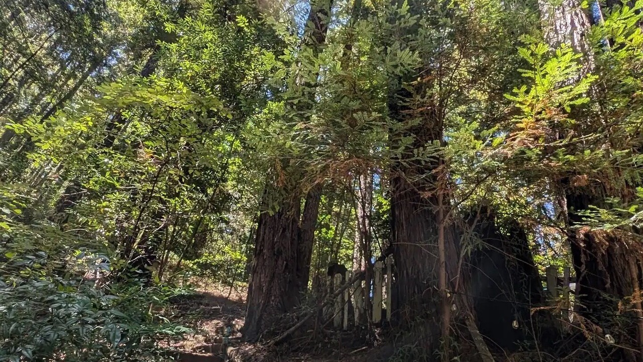 Photo of Outdoor in Rio Nido
