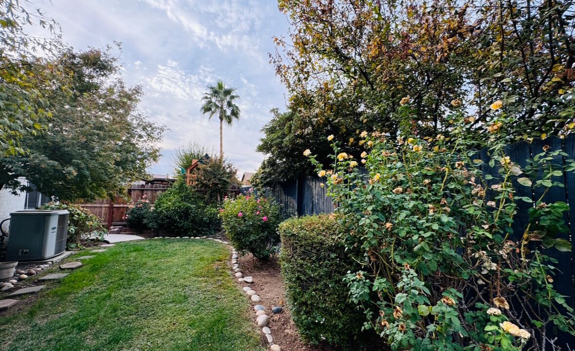 Photo of Outdoor in Raisin