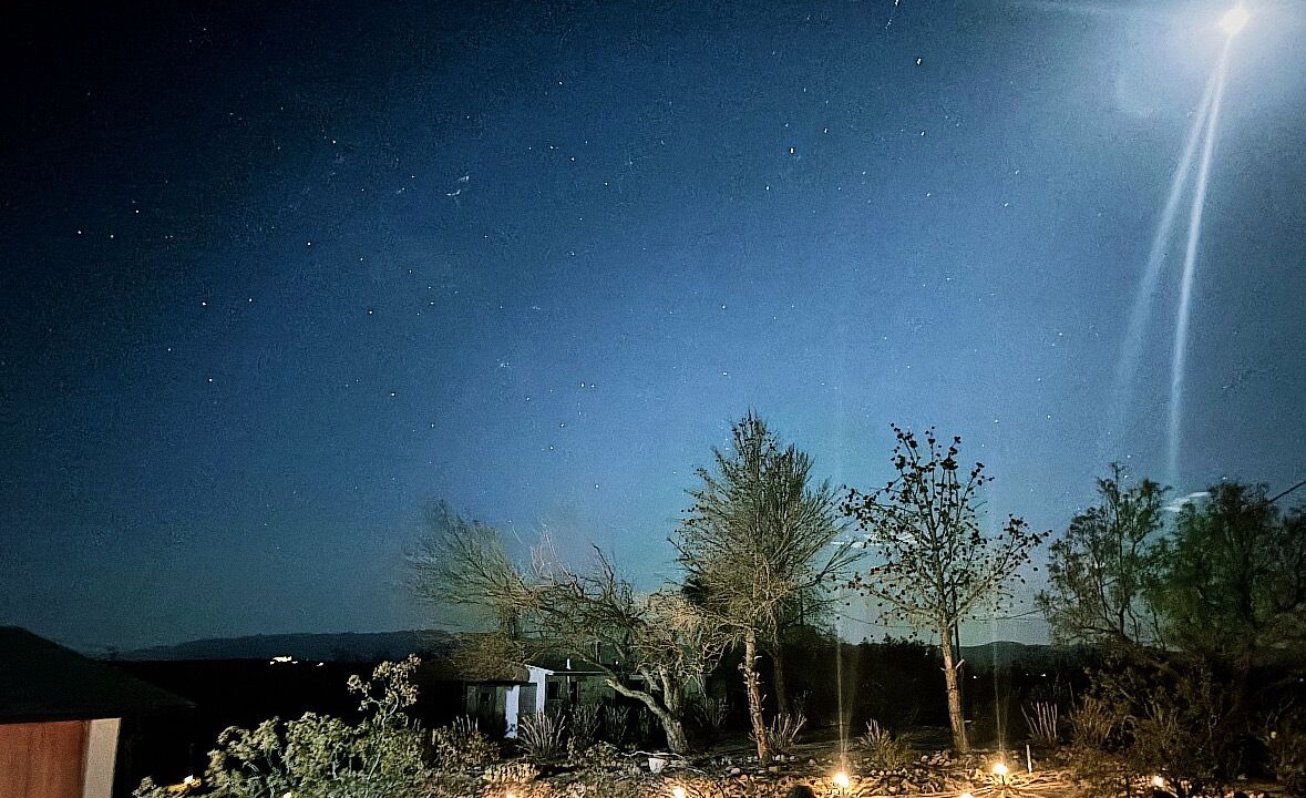 Photo of Others in Joshua Tree
